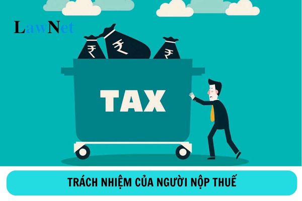 Trách nhiệm của người nộp thuế ra sao?