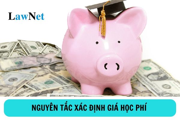 Principles for determining tuition fees are what? How to manage and use tuition fees as regulated?