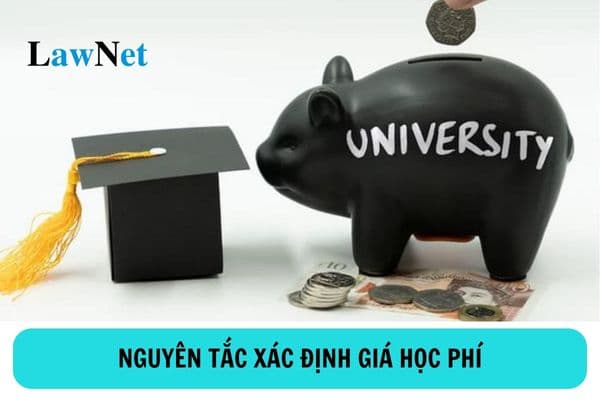 Principles for determining tuition fees for public higher education institutions