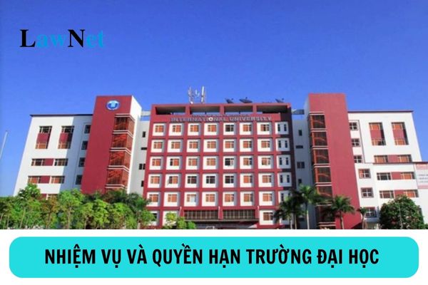 Trường đại học có nhiệm vụ và quyền hạn như thế nào?