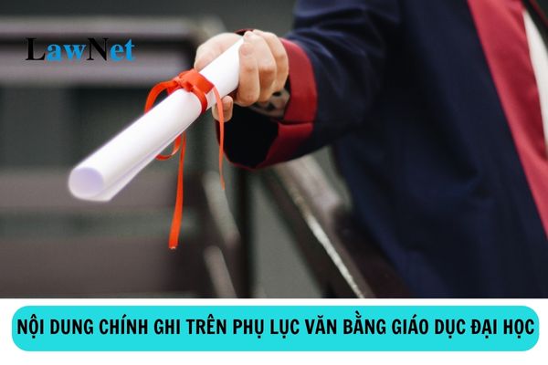 Nội dung chính ghi trên phụ lục văn bằng giáo dục đại học là gì?