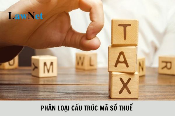 Phân loại cấu trúc mã số thuế như thế nào?