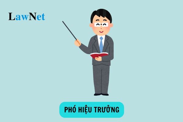 Cho phép bổ nhiệm 3 phó hiệu trưởng đối với một số trường học từ 01 tháng 9 năm 2024?