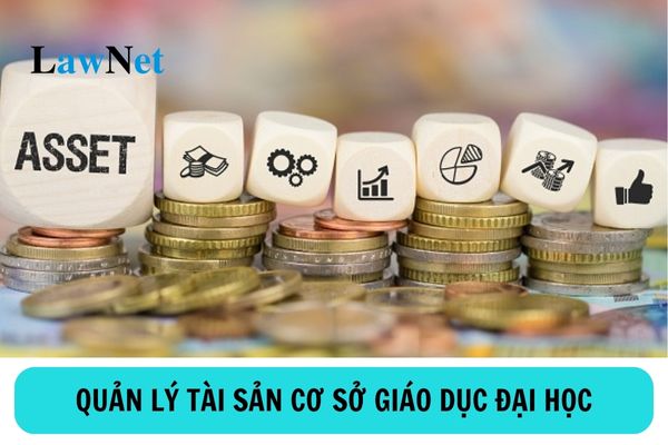 Nguyên tắc quản lý và sử dụng tài sản của cơ sở giáo dục đại học được quy định như thế nào?