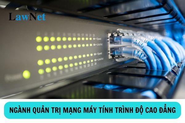 Học cao đẳng ngành quản trị mạng máy tính có thể làm việc tại các vị trí nào?