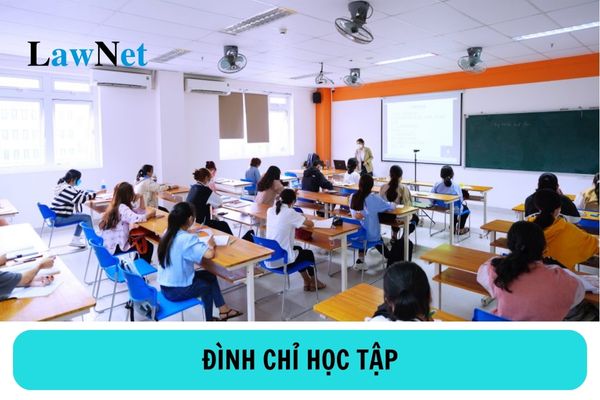 Sinh viên đại học nhờ người khác thi hộ bài của mình bị đình chỉ học tập bao lâu?