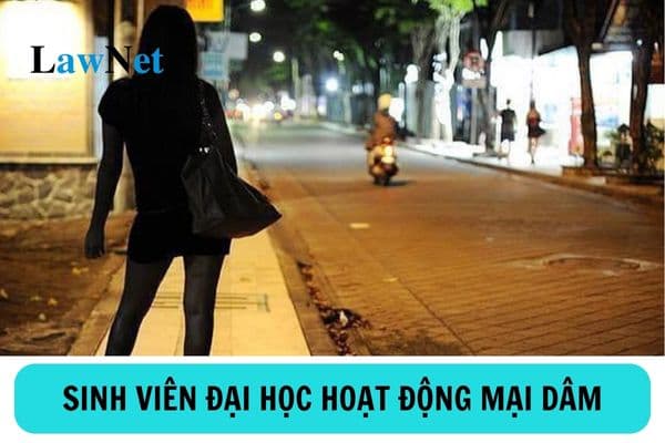 Sinh viên đại học hoạt động mại dâm bị xử lý kỷ luật như thế nào?