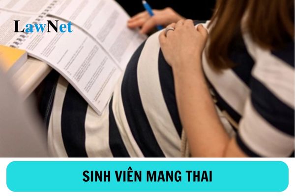 Sinh viên đại học mang thai có được bảo lưu kết quả học tập không?