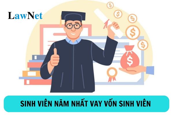 Điều kiện để sinh viên năm nhất được vay vốn sinh viên là gì?