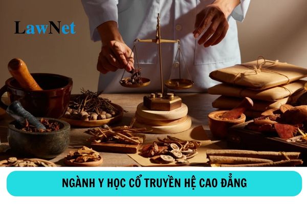 Học cao đẳng ngành y học cổ truyền ra trường làm gì?