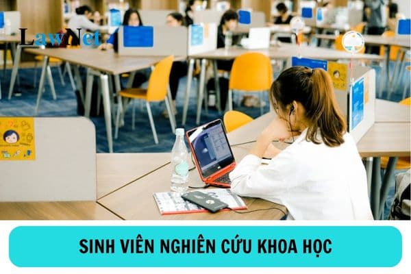 Sinh viên đại học tham gia nghiên cứu khoa học có các quyền và nghĩa vụ gì?