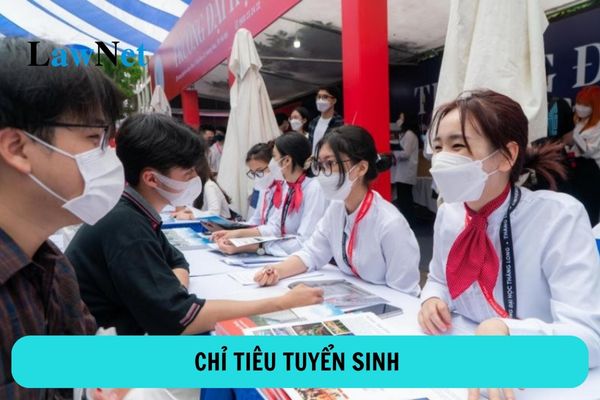 Trường đại học không được tăng chỉ tiêu tuyển sinh trong trường hợp nào?