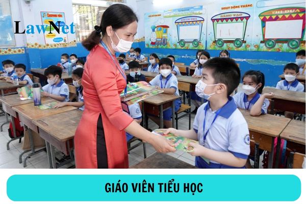 Giáo viên tiểu học nghỉ hè mấy tuần?