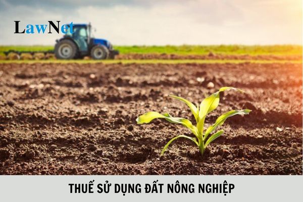 Thời hạn nộp thuế sử dụng đất nông nghiệp ra sao?