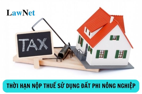 Thời hạn nộp thuế sử dụng đất phi nông nghiệp là bao lâu?