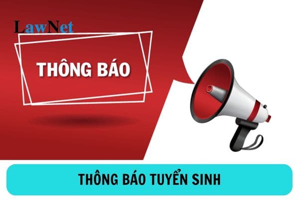 Trường đại học phải thông báo tuyển sinh trong thời hạn bao lâu?