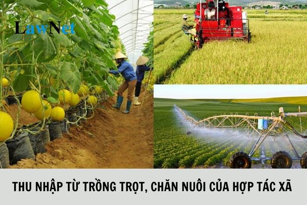 Có phải đóng thuế thu nhập doanh nghiệp đối với thu nhập từ trồng trọt, chăn nuôi của hợp tác xã không?