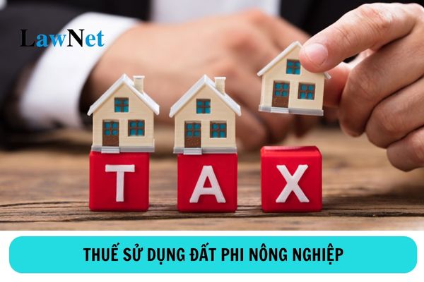 Đối tượng nào phải chịu thuế sử dụng đất phi nông nghiệp?