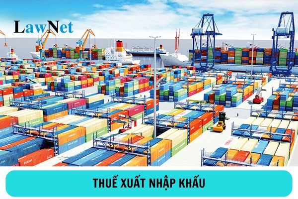 Người nộp thuế xuất nhập khẩu là ai? Quy định về thời hạn nộp thuế xuất nhập khẩu ra sao?