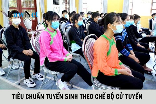 Tiêu chuẩn tuyển sinh theo chế độ cử tuyển ra sao?