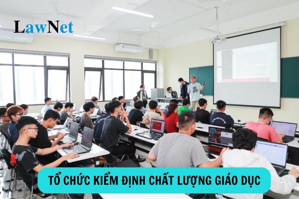 Tổ chức kiểm định chất lượng giáo dục do ai thành lập?