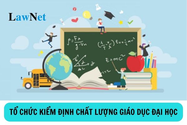 Tổ chức kiểm định chất lượng giáo dục đại học có nhiệm vụ và quyền hạn như thế nào?