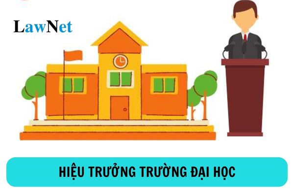 Hiệu trưởng trường đại học có bắt buộc phải có trình độ tiến sĩ không?