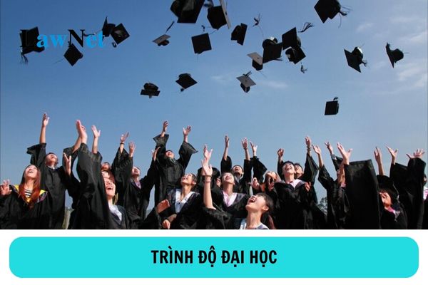 Mục tiêu cụ thể của đào tạo trình độ đại học là gì? 