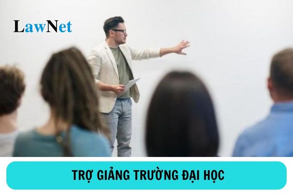 Tiêu chuẩn về đạo đức nghề nghiệp và năng lực chuyên môn, nghiệp vụ của trợ giảng trường đại học công lập ra sao? 