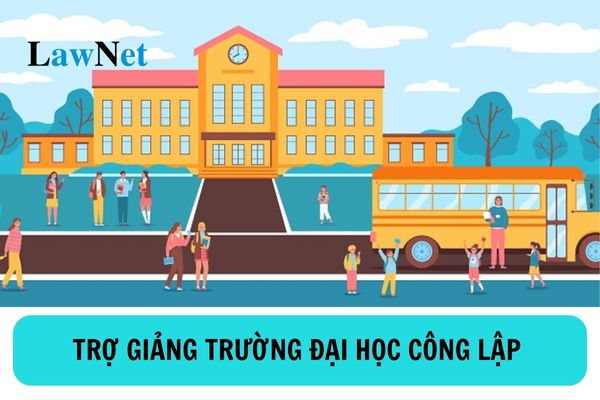 Trợ giảng trường đại học công lập có mã số mấy? Trợ giảng trường đại học công lập có nhiệm vụ gì?