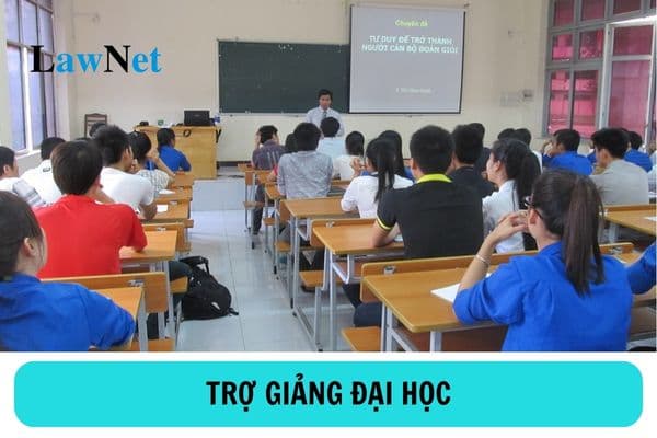 Trợ giảng có là giảng viên đại học không? Quy định về xếp lương đối với trợ giảng trường đại học công lập như thế nào?