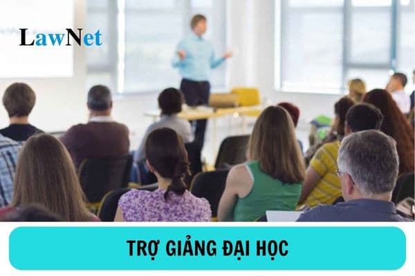 Người có bằng cử nhân được làm trợ giảng trong trường đại học công lập không?