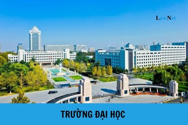 Phân hiệu của cơ sở giáo dục đại học Việt Nam tại Việt Nam có tư cách pháp nhân không?