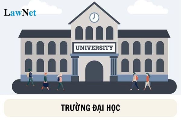 Trường đại học bị giải thể khi nào? Hồ sơ giải thể trường đại học gồm những gì?