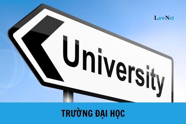 Trường đại học có cơ cấu tổ chức như thế nào? Hội đồng trường của trường đại học công lập có trách nhiệm và quyền hạn như thế nào?