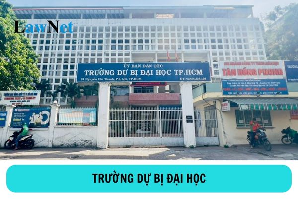 Quyền hạn và trách nhiệm của trường dự bị đại học được quy định ra sao?