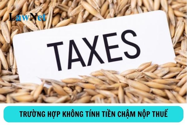 Các trường hợp không tính tiền chậm nộp thuế?