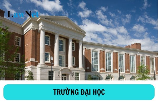 Theo quy định thì trường đại học có tư cách pháp nhân không? 