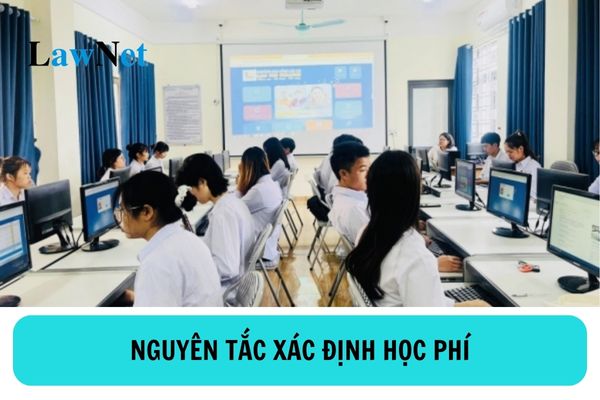 Nguyên tắc xác định học phí đối với cơ sở giáo dục nghề nghiệp công lập là gì?