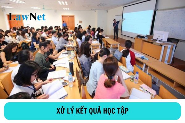 Xử lý kết quả học tập của sinh viên đại học theo phương thức đào tạo theo tín chỉ ra sao?