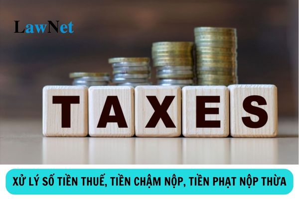 Xử lý số tiền thuế, tiền chậm nộp, tiền phạt nộp thừa như thế nào?