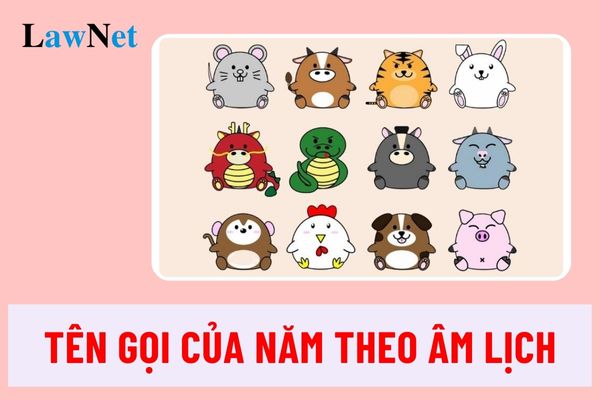 Vietnamese Grade 5 Knowledge Connection: What are the Lunar New Year Names?