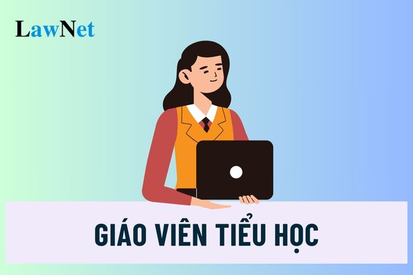 Giáo viên tiểu học hạng 2 có bắt buộc có bằng cử nhân thuộc ngành đào tạo giáo viên không?