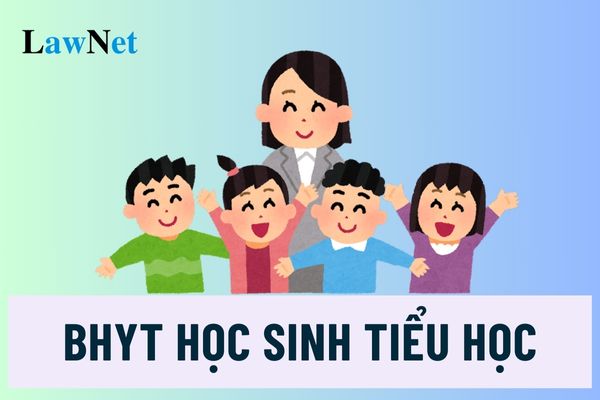 Học sinh tiểu học có được nhà nước hỗ trợ đóng bảo hiểm y tế không?