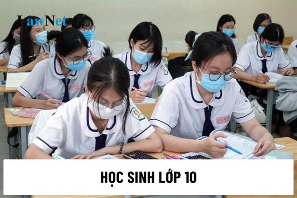 Học sinh lớp 10 học bao nhiêu môn học bắt buộc?