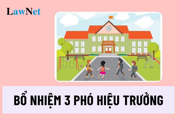 Trường phổ thông được bổ nhiệm 3 phó hiệu trưởng cần đáp ứng điều kiện gì?