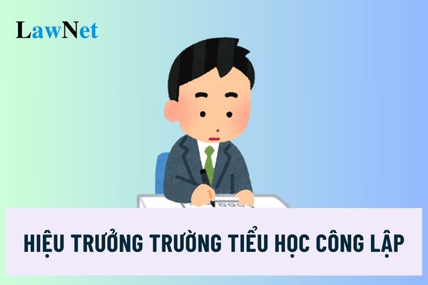 Ai có thẩm quyền bổ nhiệm hiệu trưởng trường tiểu học công lập?