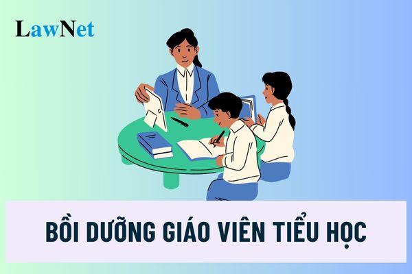 08 chuyên đề bồi dưỡng chức danh nghề nghiệp giáo viên tiểu học là gì?