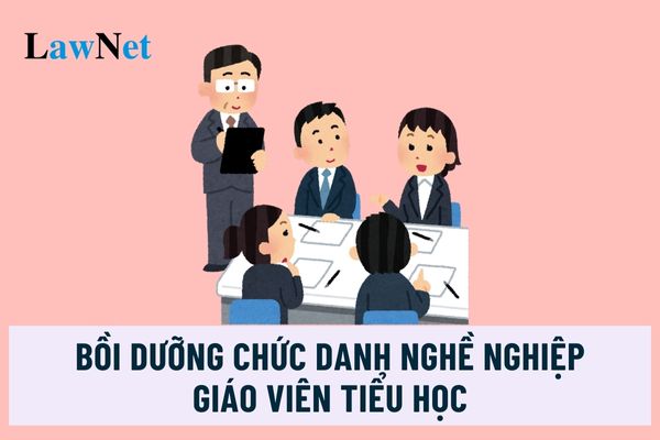 Đối tượng nào được tham gia chương trình bồi dưỡng chức danh nghề nghiệp giáo viên tiểu học?