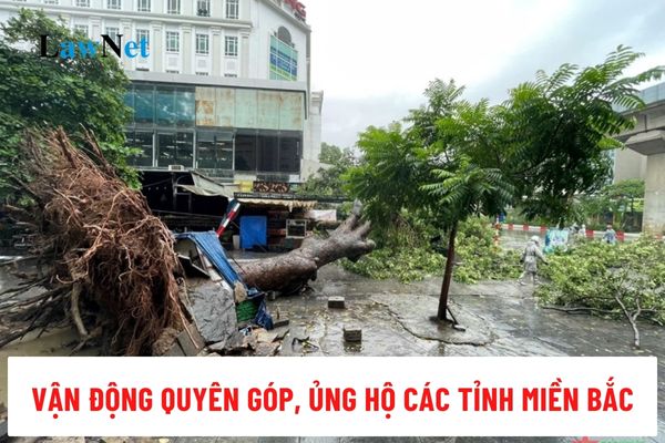 Propaganda, mobilizing donations, supporting the northern provinces affected by Typhoon No. 3 as required by the Communist Party Committee of the Department of Education and Training of Ho Chi Minh City?